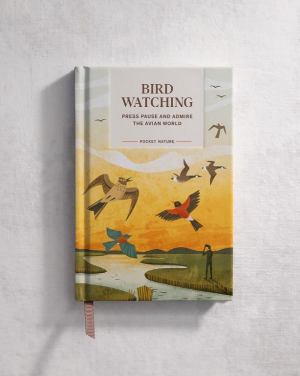 Bird Wathcing