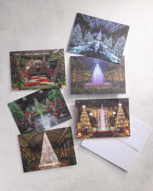 Holiday Notecards 2026