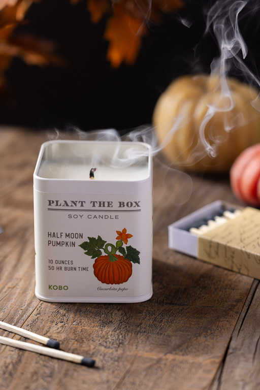 Plantable Pumpkin 2