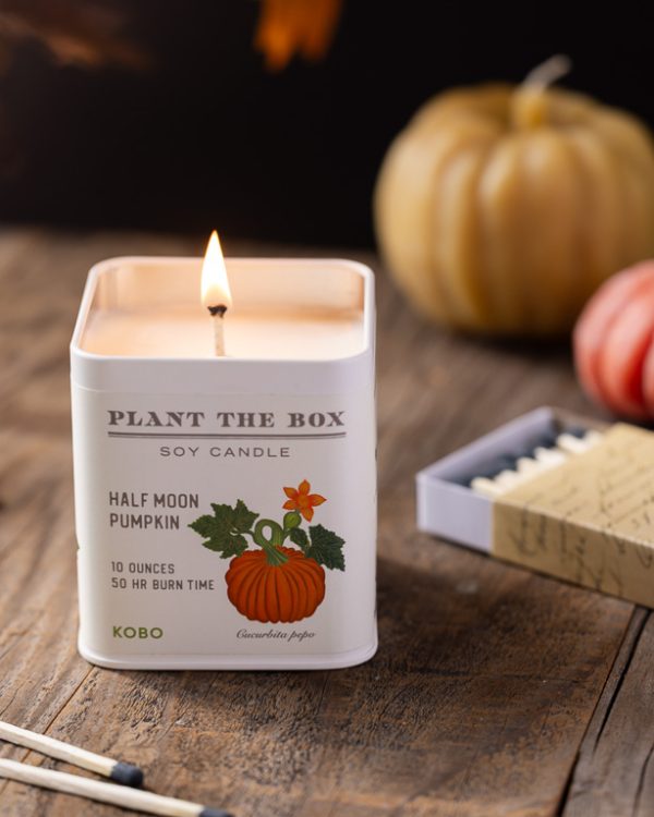 Plantable Pumpkin Candle