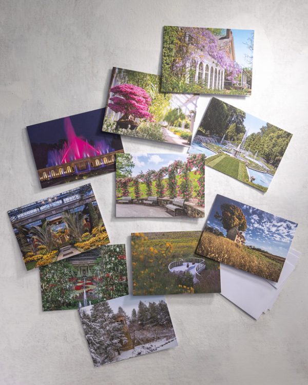 Seasonal Notecards 2026