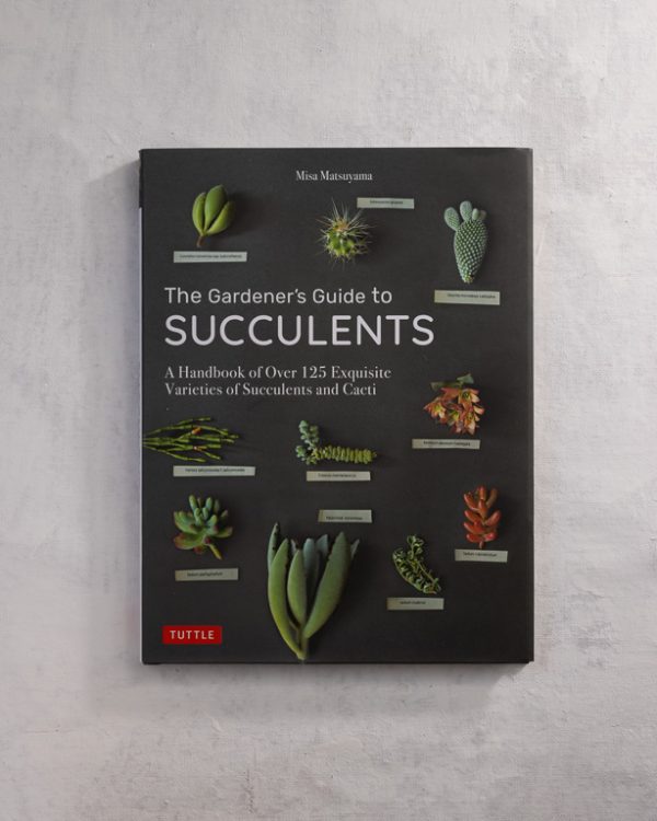 Succulents