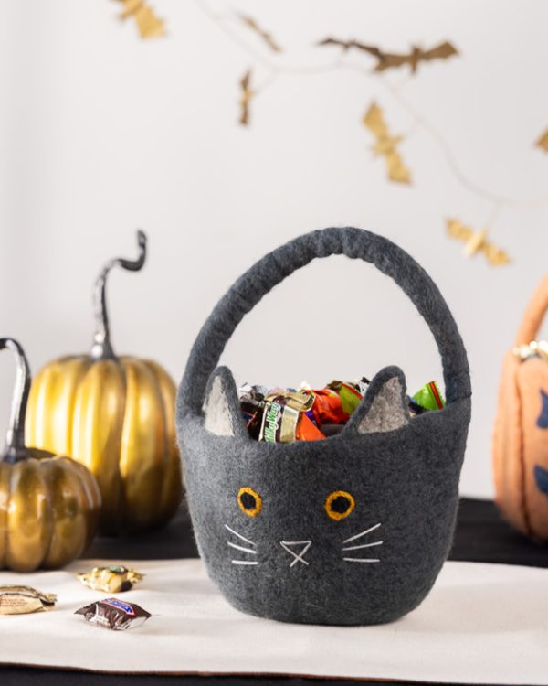 Trick Or Treat Cat