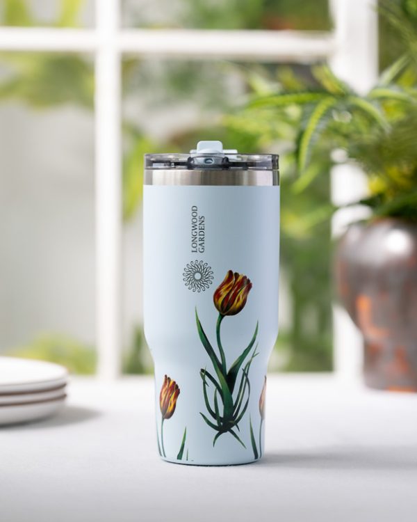 Tulip To Go